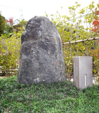 �~�i�~�E�G�N�X�e���A���Ɠ��e�@�����{�H��