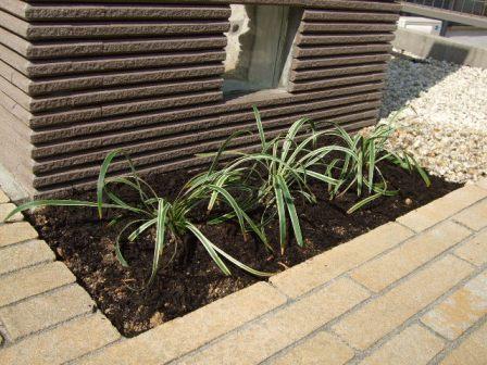 �����E�O�\�E�G�N�X�e���A�{�H��@�{�[�_�[�^�C���和�@�A�́@�򕌌��y��s