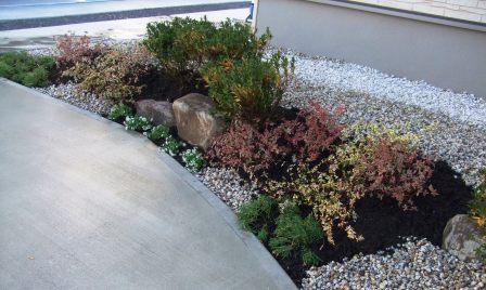 �O�\�E�G�N�X�e���A�{�H��@�A�͂ƍ����~���@�������s