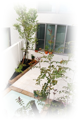 ���]�[�g���O�\