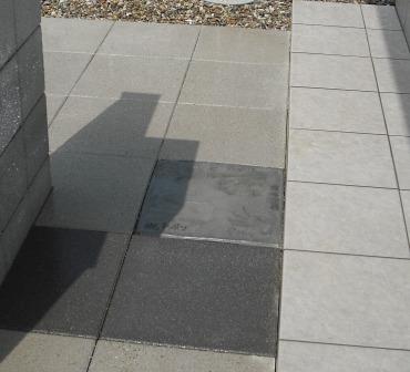 �O�\�E�G�N�X�e���A�{�H��@��`�v���[�g