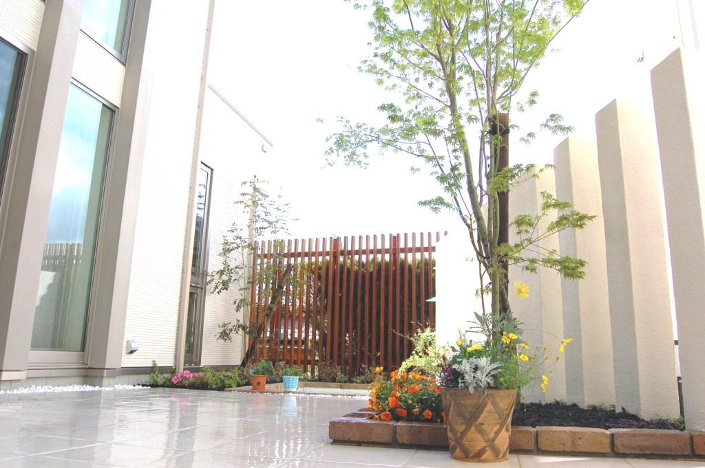 �O�\�E�G�N�X�e���A�{�H��@�^�C���f�b�L�ƃ��]�[�g���O�\�@�b�ߎs