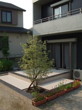 �����E�O�\�E�G�N�X�e���A�{�H��@���m�g�[���ȃ^�C���f�b�L�ƐA�́@�򕌌��������s