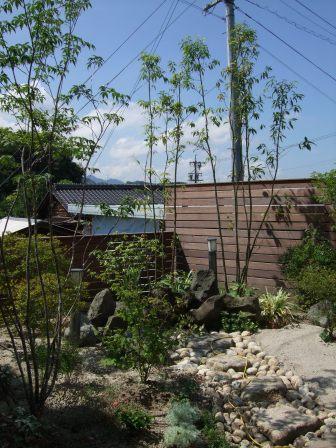 �����E�O�\�E�G�N�X�e���A�{�H��@�����ƌi�Αg�̎��R������̒�@�b�ߎs